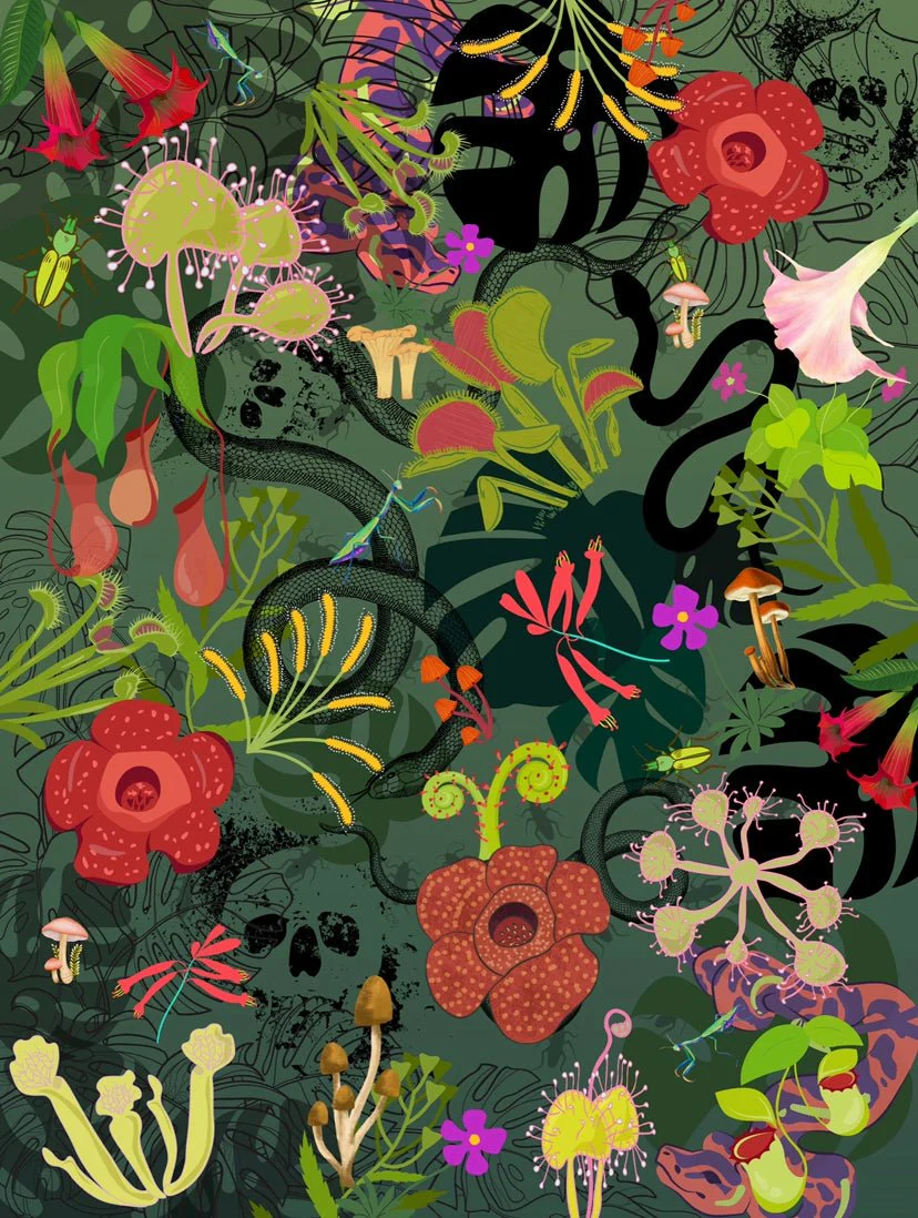 Product image 51